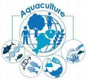 eModule Aquaculture. © Cirad, G. Laveissiere