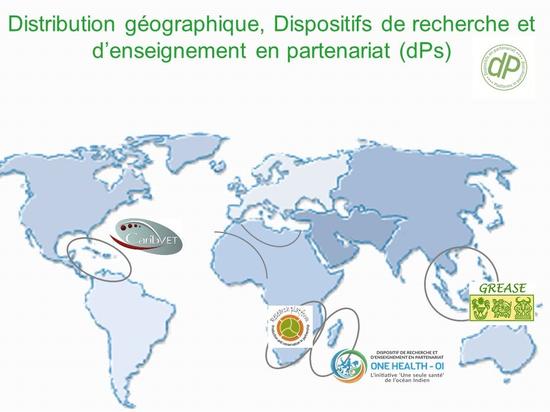 Partenariat distribution géographique DP